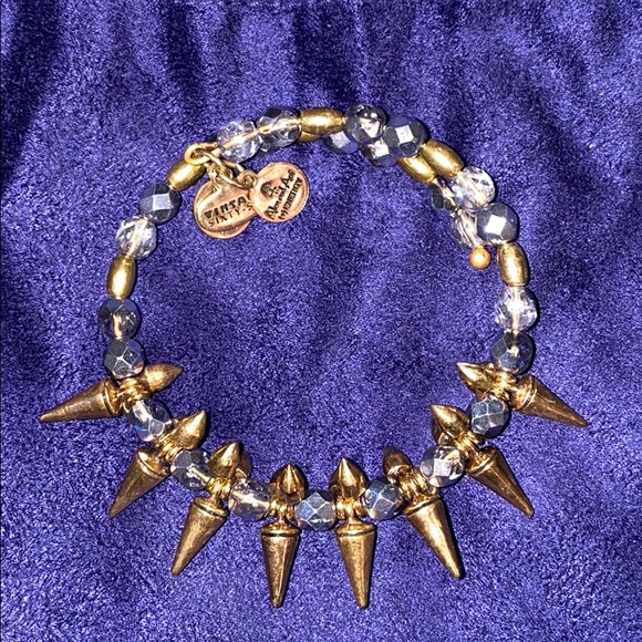 Alex and Ani Jewelry - Alex and Ani Vintage Sixty-Six Bracelet